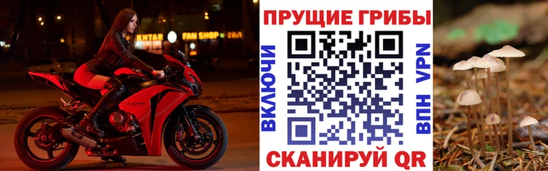 Галлюциногенные грибы мицелий маркетплейс наркотические препараты Давлеканово где купить наркотик